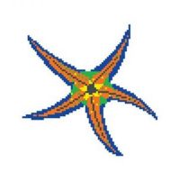 porcelain mosaic design starfish 1
