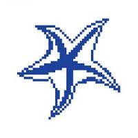 porcelain mosaic design starfish 2